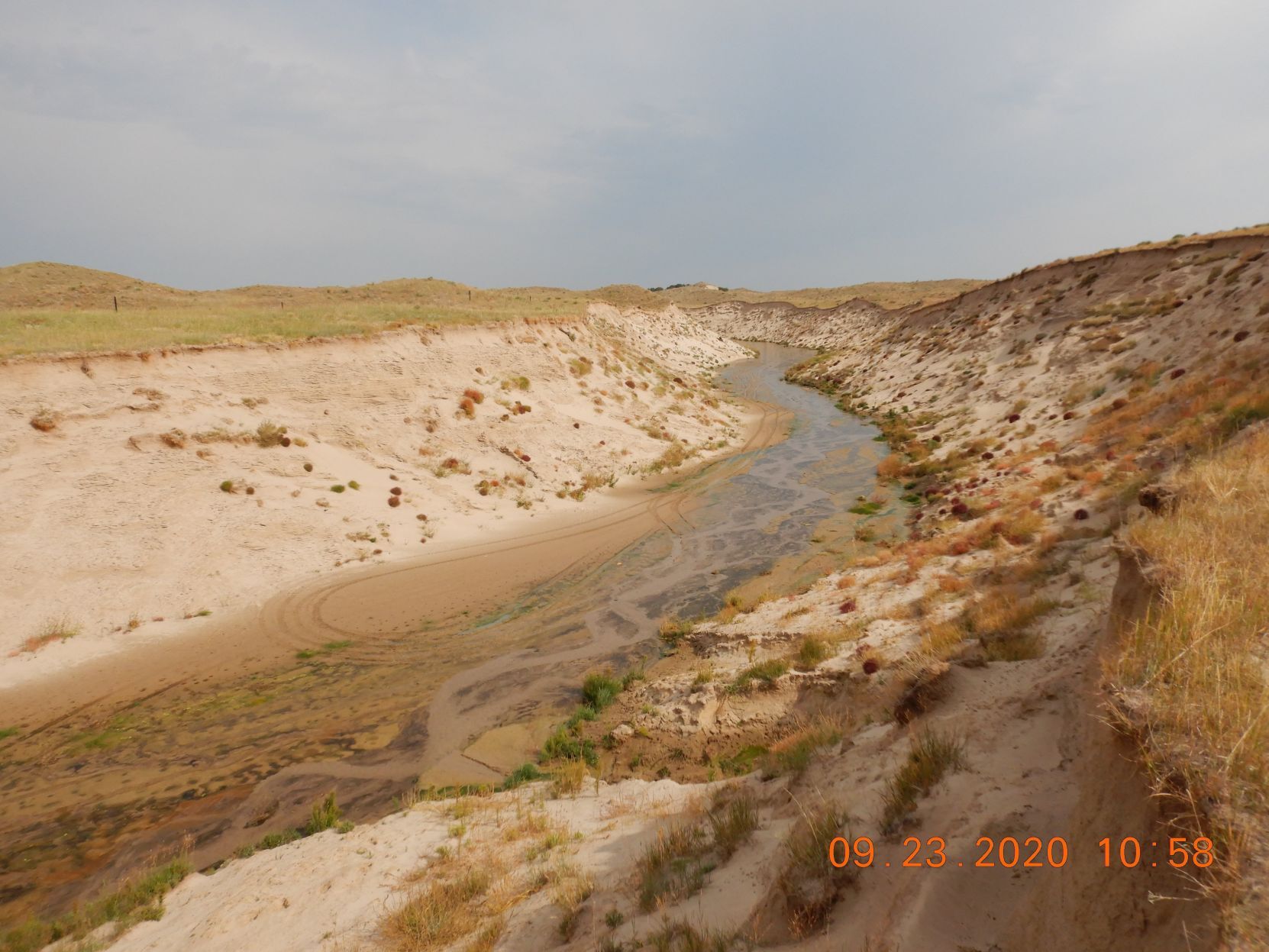 snakeriver